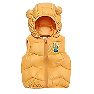 Жилет утеплённый демисезонный с капюшоном для девочки House style SM613-G115 желтый 1